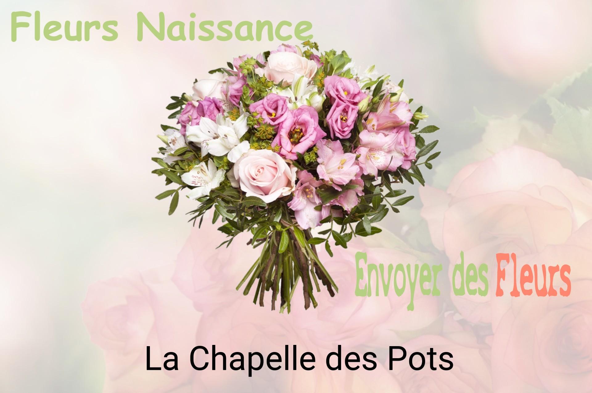 Bouquet de fleurs de naissance livré à La Chapelle-des-Pots